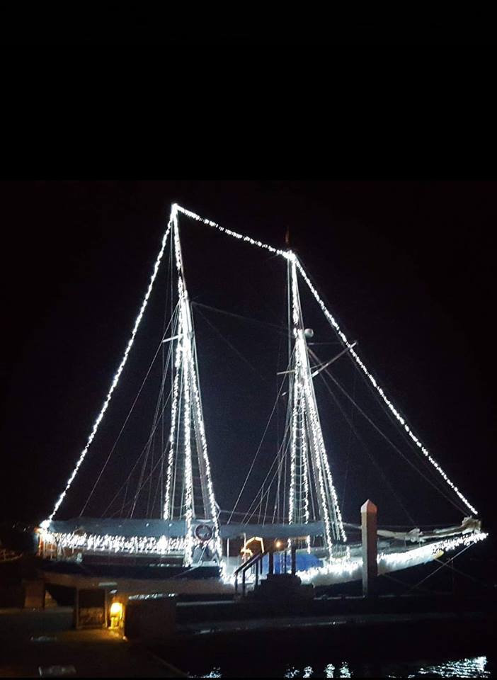 Schooner Freedom Nights of Lights Sails - St. Augustine, FL