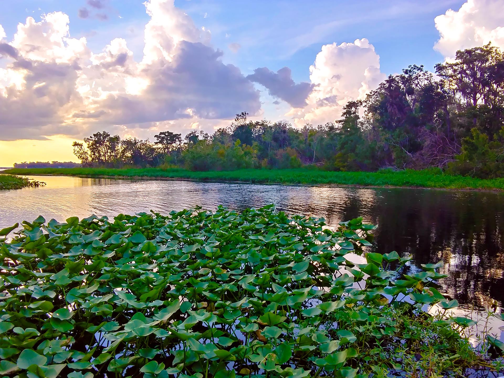 Sea Serpent Tours - St. Augustine, FL