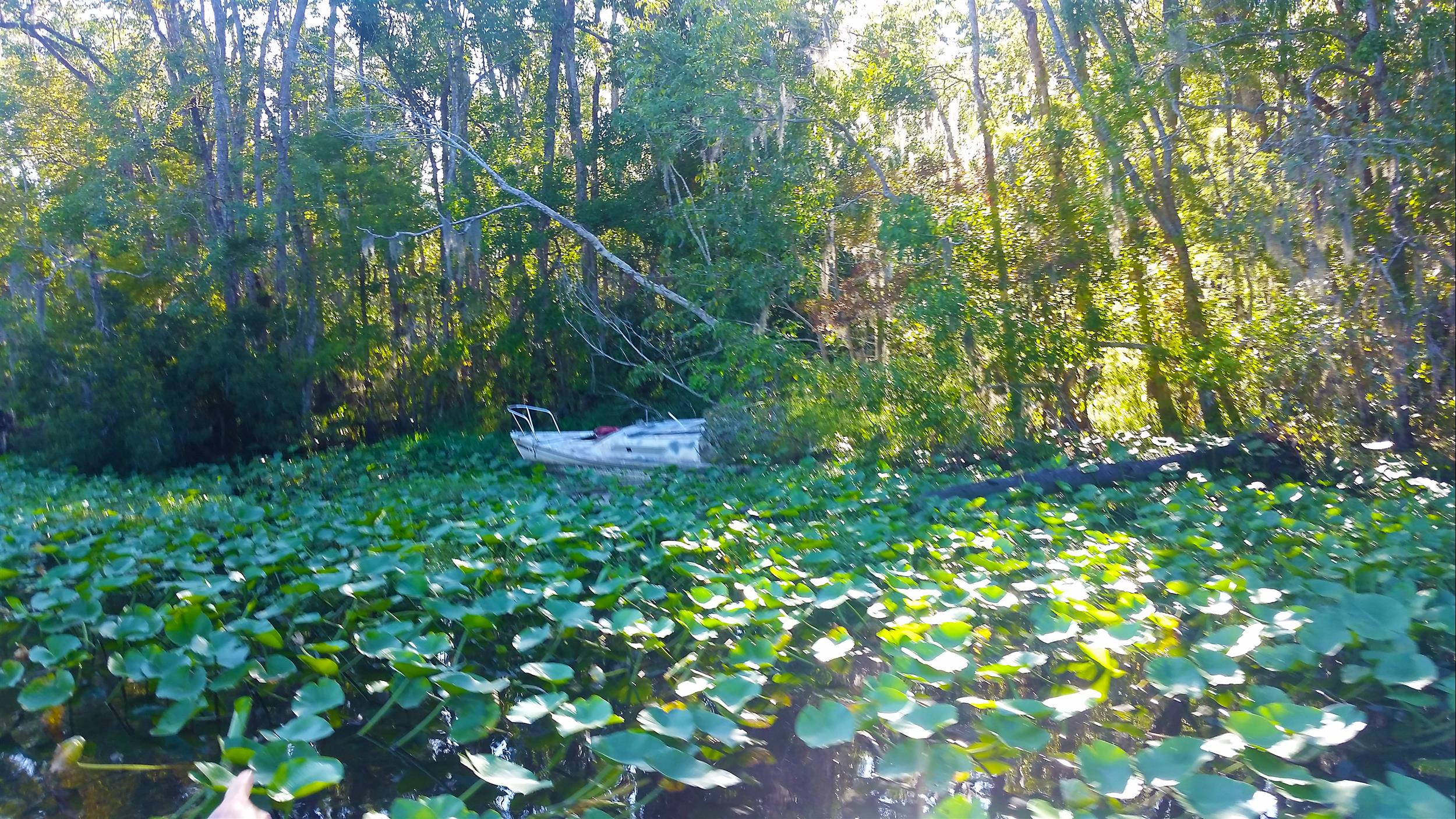 Sea Serpent Tours - St. Augustine, FL