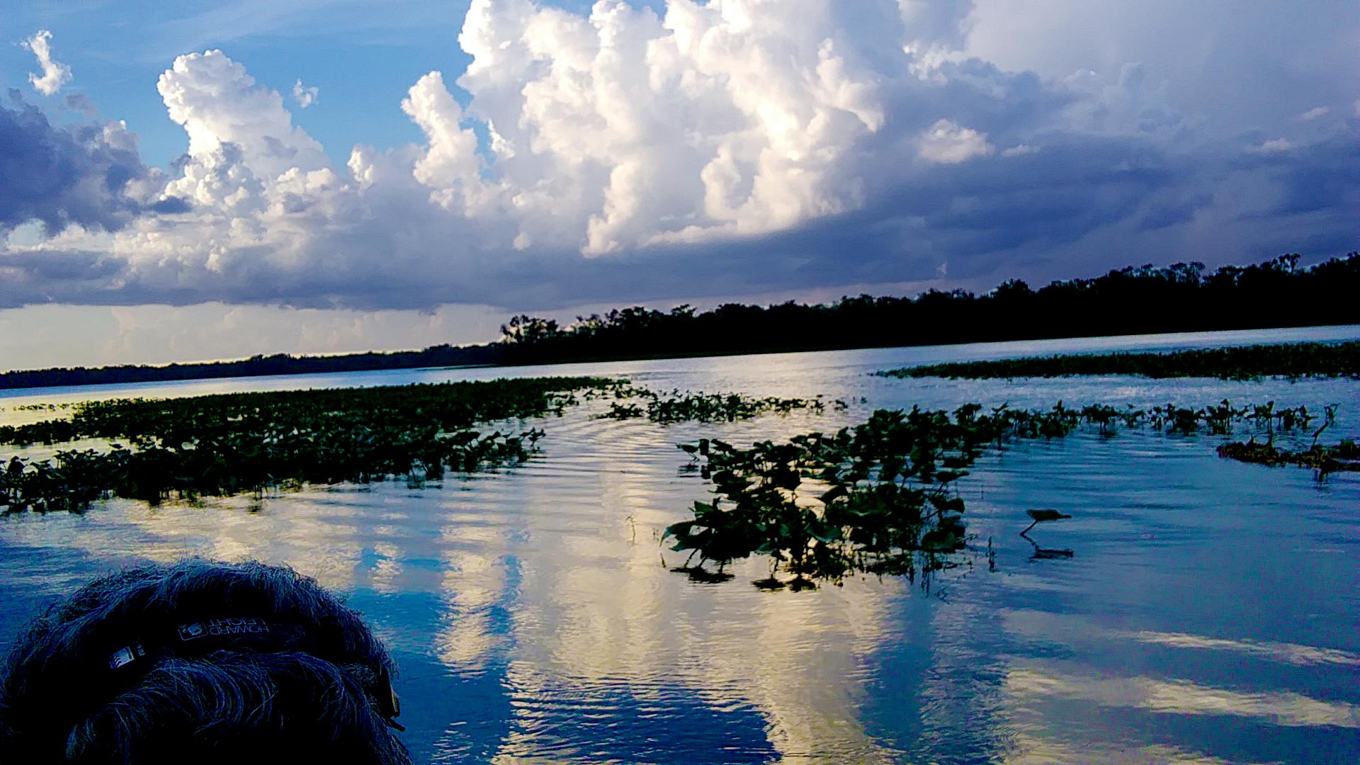 Sea Serpent Tours - St. Augustine, FL