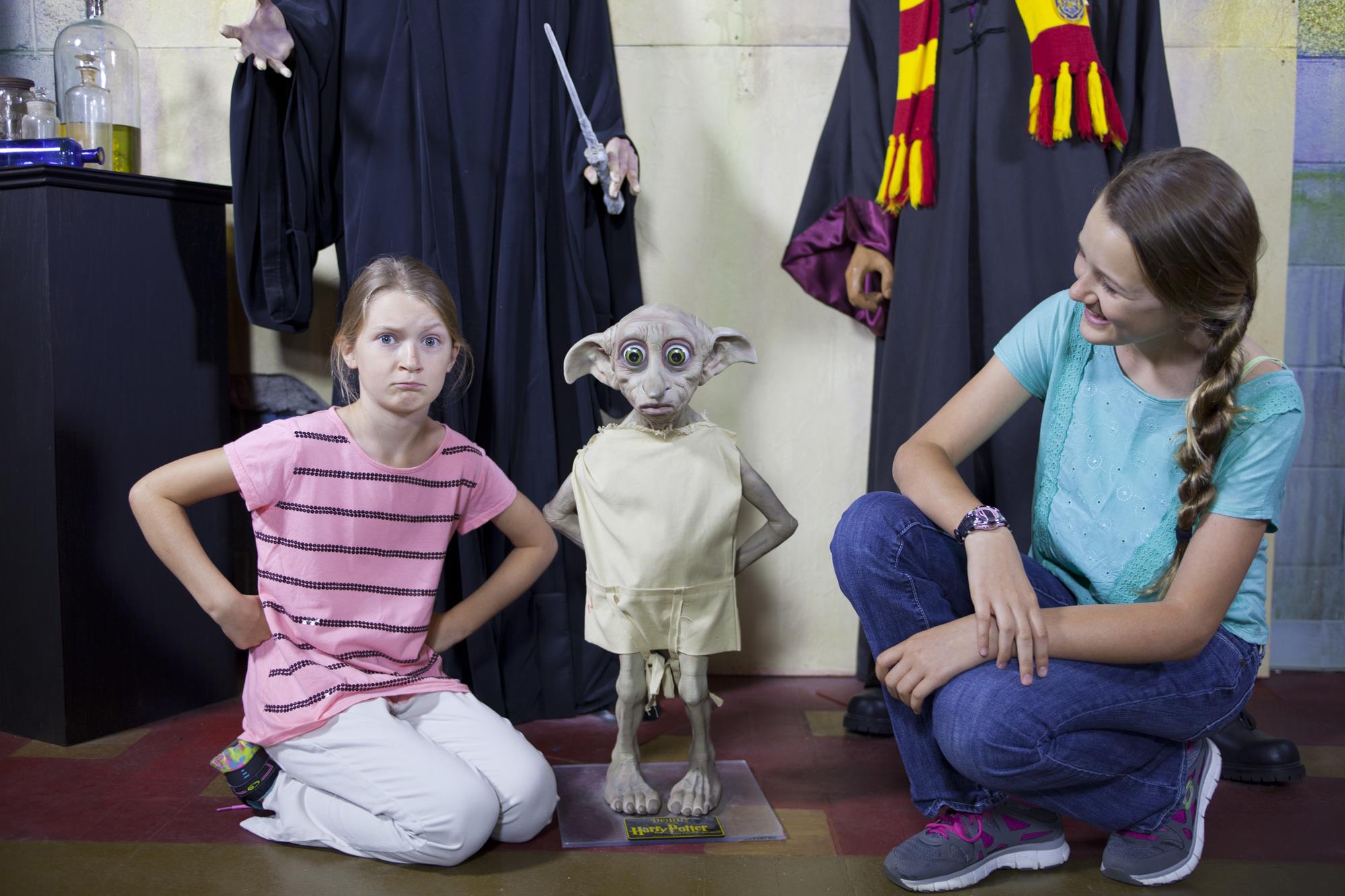 Wax Dobby from Harry Potter