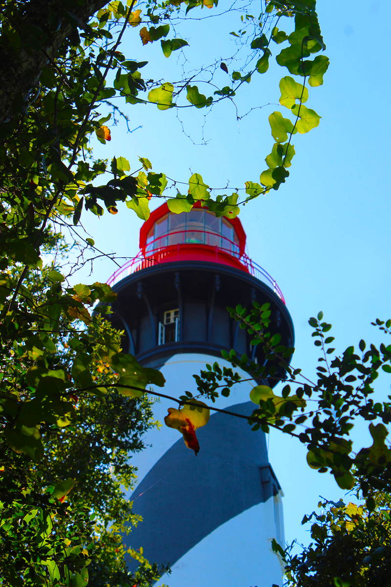A different view looking up at the St. Augustine Lighthouse through trees