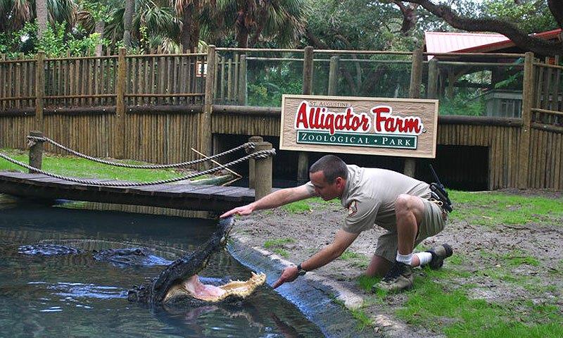 St. Augustine Alligator Farm