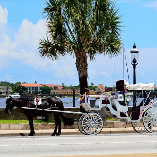 St. Augustine Carriage Rides